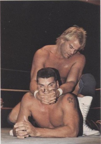 1988 Wonderama NWA - Sean Royal Stan Lane #71