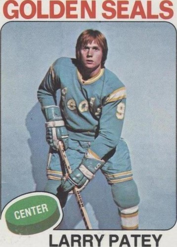 1975-76 Topps - Larry Patey #137