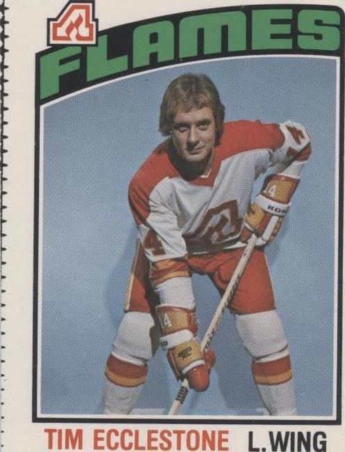 1976-77 O-Pee-Chee - Tim Ecclestone #351