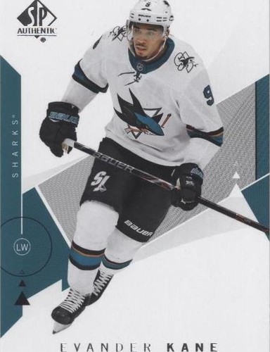 2018-19 SP Authentic - Evander Kane #6