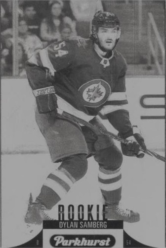 2022-23 Upper Deck Parkhurst - Dylan Samberg #312