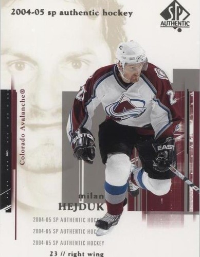 2004-05 SP Authentic - Milan Hejduk #24
