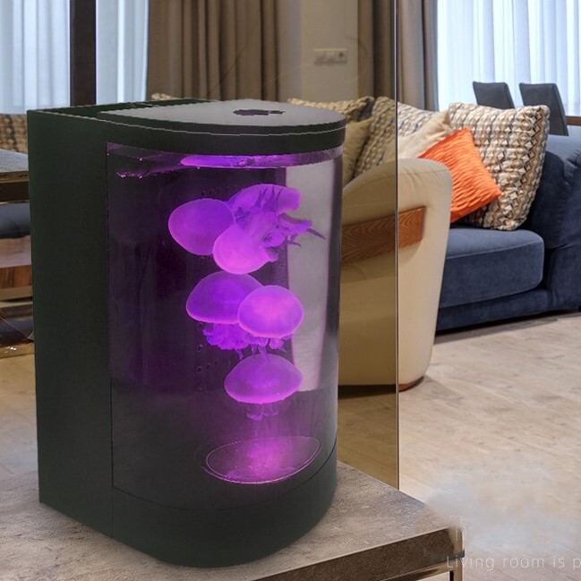 Desktop Jellyfish Aquarium Tank Kit for Real Live Jellyfish