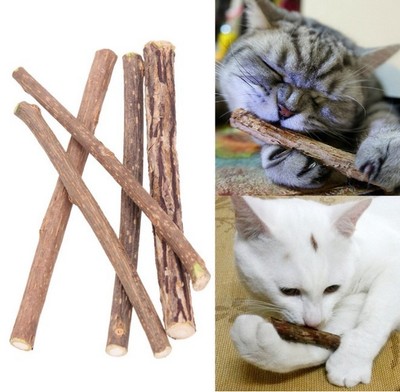 Practical Cat Catnip Stick Cleaning Teeth Molar Toothpaste Toy Cat Tasty Snacks