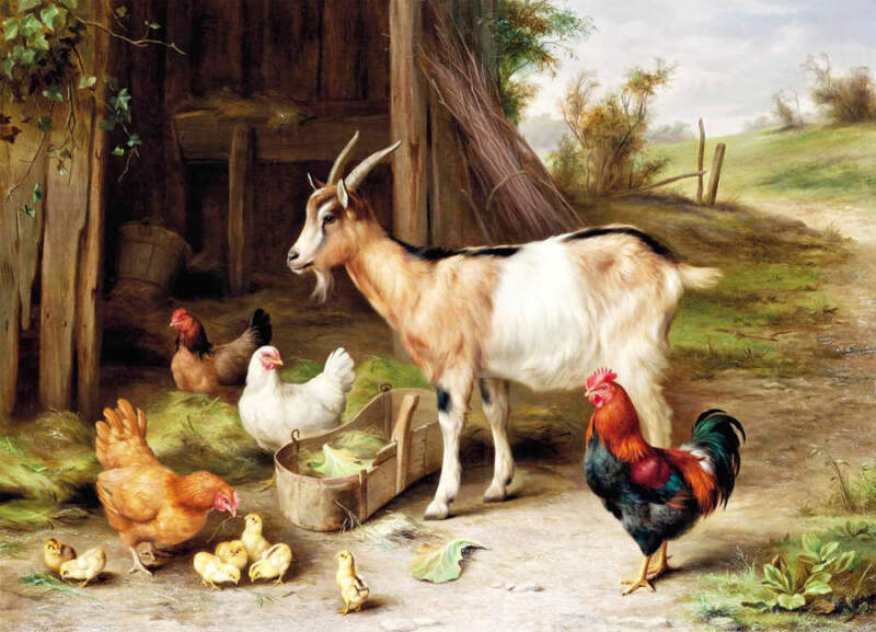 Goat, Rooster Chickens, Chicks Barn By Edgar Hunt Vintage Art