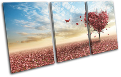 Maple Tree Autumn Fall Colours Heart  Love TREBLE TELA parete arte foto stampa