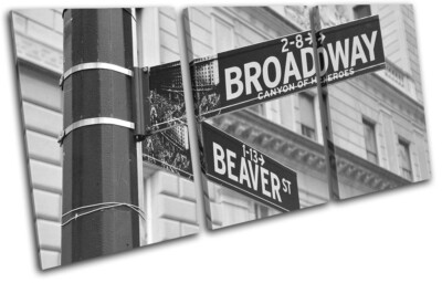 New York Streetsign Broadway NYC USA City TREBLE LONA pared arte Foto impresion