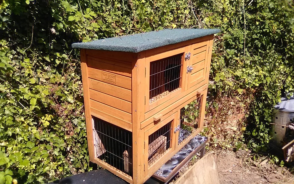 Deluxe guinea pig hutch in Westbury, Wiltshire Gumtree