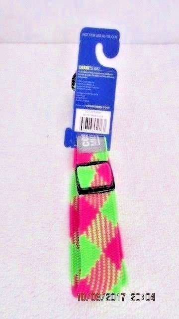 COLLAR & LEASH  2 PC SET   CESAR MILLIAN   SIZE LARGE    COLOR PINK/LIME