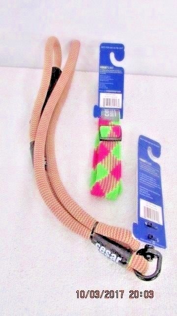 COLLAR & LEASH  2 PC SET   CESAR MILLIAN   SIZE LARGE    COLOR PINK/LIME