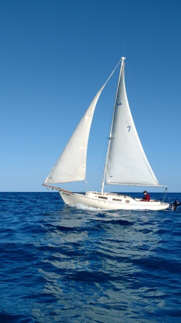 Classic 1957 Herrishoff 23' Marlin Fiberglas Sailboat
