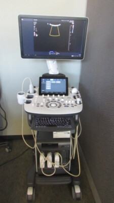 Samsung HS50 Ultrasound System w/ 3 Probes, Printer & Gel Warmer