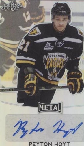 2016-17 Leaf Metal - Peyton Hoyt #BA-PH1