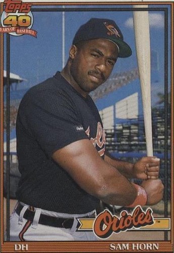 1991 Topps - Sam Horn #598