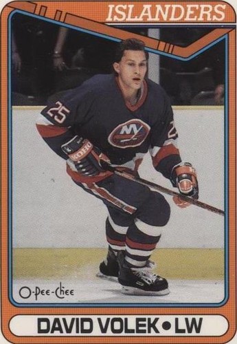 1990-91 O-Pee-Chee - David Volek #300