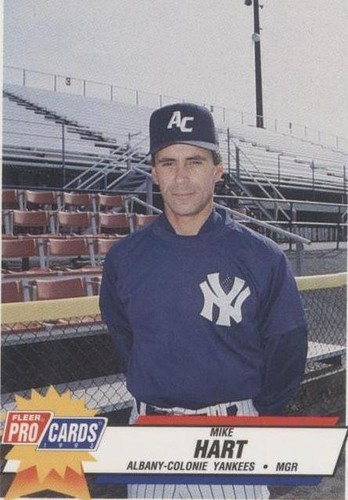 1993 Fleer ProCards Minor League Charlie Sullivan #3720 | eBay