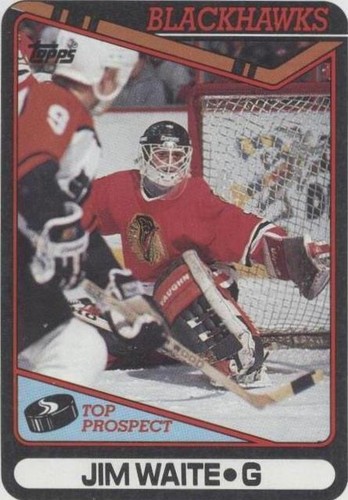 1990-91 Topps - Jimmy Waite #214
