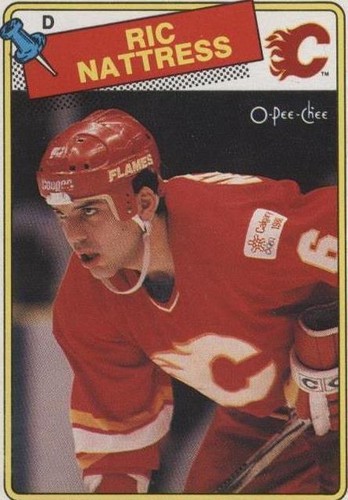 1988-89 O-Pee-Chee - Ric Nattress #238