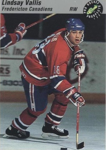 1993 Classic Pro Hockey Prospects - Lindsay Vallis #41