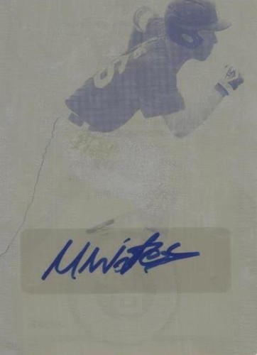 2016 Leaf Perfect Game National Showcase - Mark Vientos #BA-278