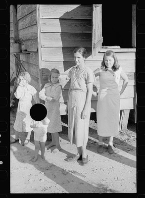 Wolf Creek Farm Project,Georgia,GA,Resettled Farmer,Arthur Rothstein,FSA,3