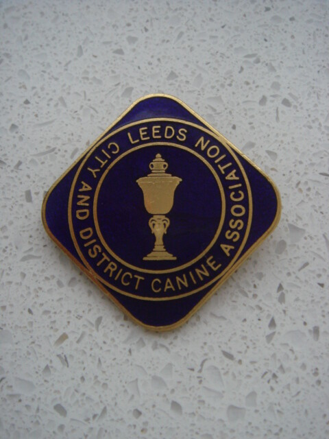 Vintage Enamel Metal Pin Badge Leeds City ...