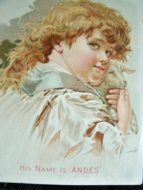 Antique TRADE CARD for ANDES STOVES. Phillips & Clark Stove Co. Geneva,N.Y.