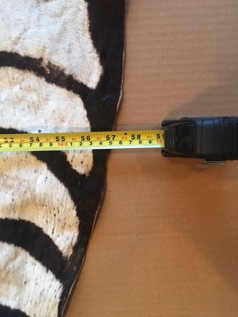 African TAXIDERMY Huge TANNED ZEBRA SKIN RUG-HIDE AFRICA SAFARI HUNTING DECOR