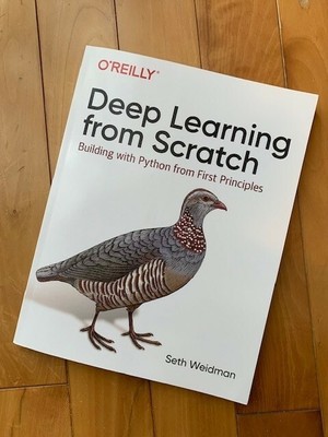 Deep Learning from Scratch: Building with Python 1st Edition