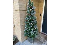 Indoor / Outdoor John Lewis Christmas Tree in Pot with Lights - 175cm tall