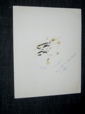 Authentic Signed in person 1944 Chicago Oriental Theatre BOB WILLS 8