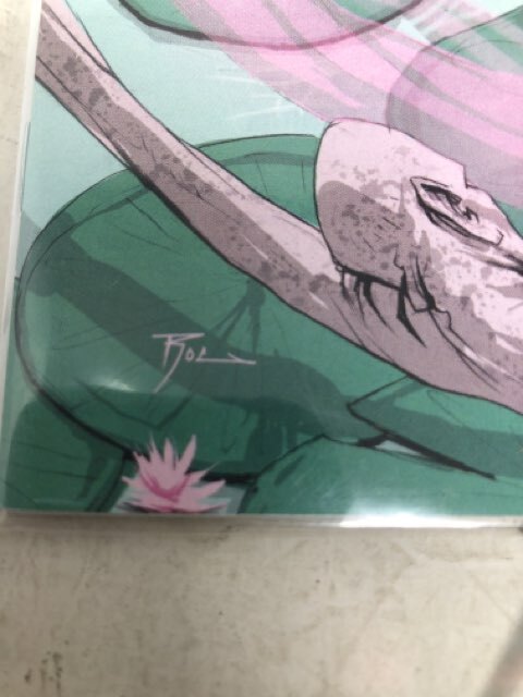  - Picture 8 of 8