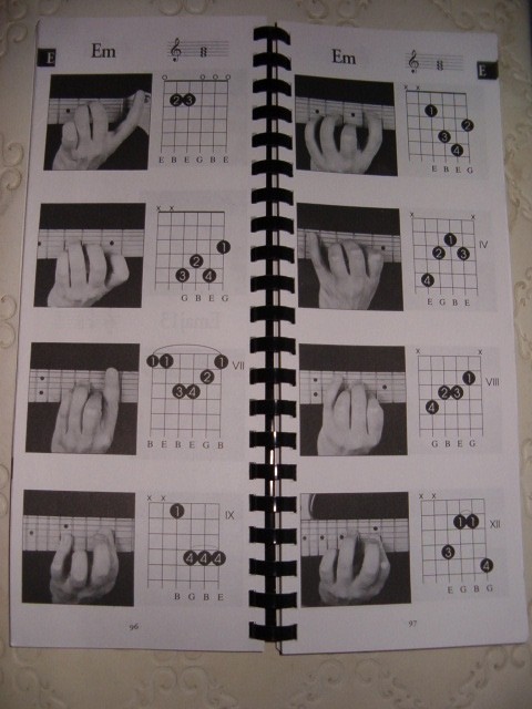 The Gig Bag Book of PICTURE CHORDS for all Guitarists Len Vogler guitar learn