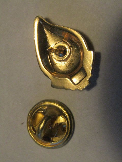 Red Cross 5 Gallon Blood Donor Pin