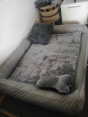 Artikelfoto(s) von einem verifizierten Käufer