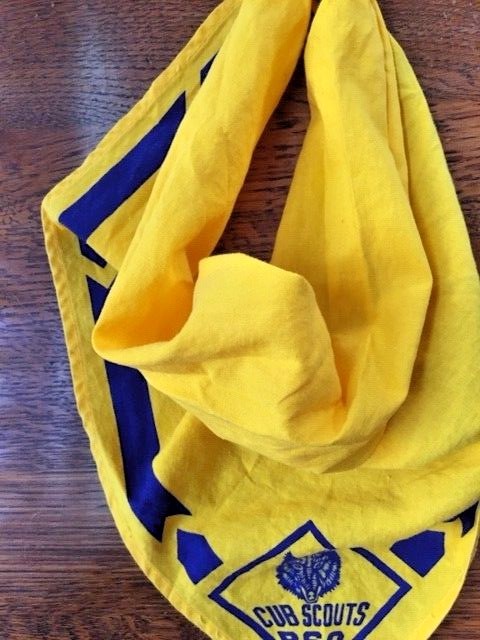 Cub Scout Wolf Cub Neckerchief & Slide Golden Bandanna & Den 7 Patch