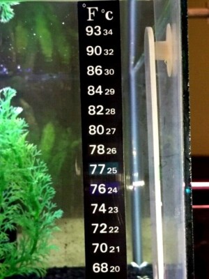 Aquarium Fish Tank Thermometer Temp Sticker Stick on **FAHRENHEIT IN BOLD!**