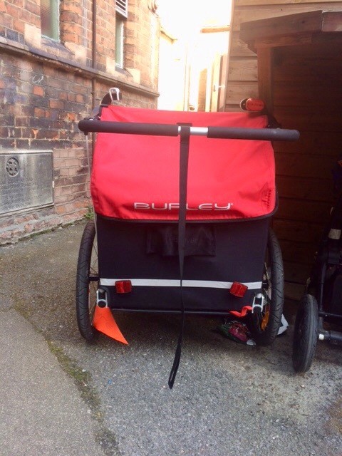 burley bee 2 seat bike trailer