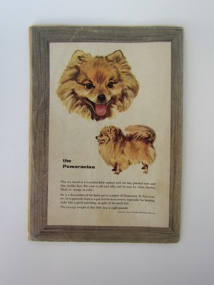 M-G-M's Lassie  (Mar-Apr 1957, Dell)#33 Nice