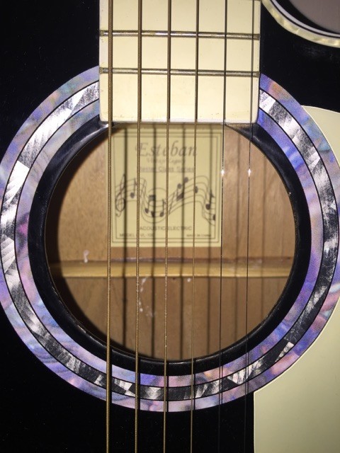 Rare Esteban Acoustic Electric Guitar