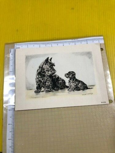 1940s Antique Terrier Dog Art Print Vere Temple Dog Art "wise child" real nice 