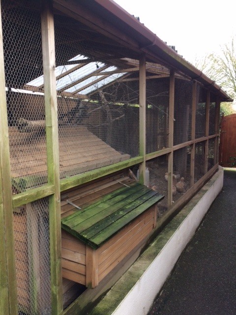 Large Walk In Wooden Chicken Run And Coop 24 X 9 3 Years Old Very Sturdy In Southampton Hampshire Gumtree