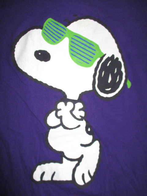 GAUZE-SHIRT SNOOPY フィギュア Gauze-Shirt Snoopy Figure | eBay