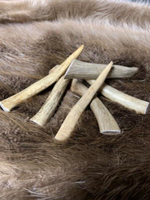 Small Premium Deer Antler Dog Chew 4 packs