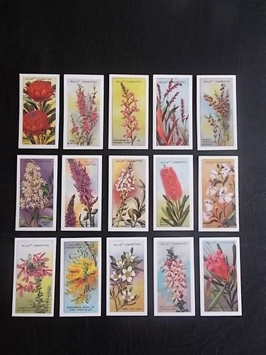 Salmson - S4E - 1939-52 Luxury - Classic Cars Collectors Club Card