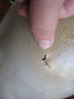 #A98  L. FARRAR POTTERY IBERVILLE P. Q.  STONEWARE CROCK P.QUÉBEC