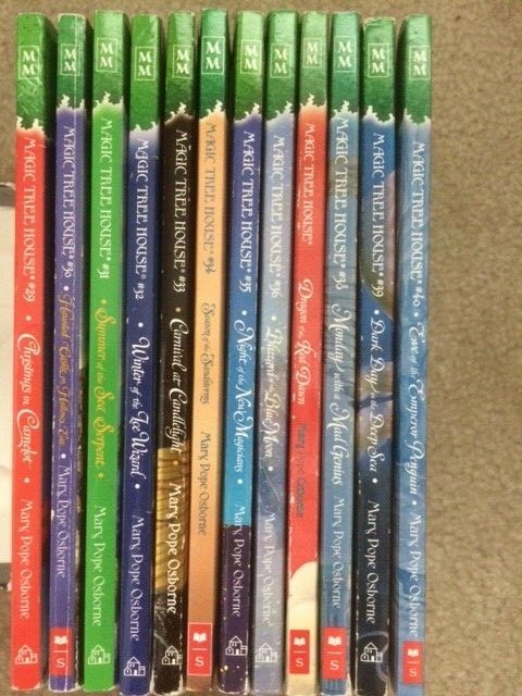 Magic Tree House 29-40 set (Merlin Mission PB lot) 30 31 32