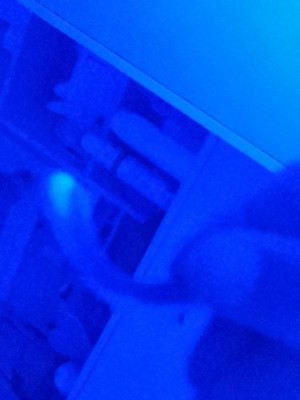 Artikelfoto(s) von einem verifizierten Käufer