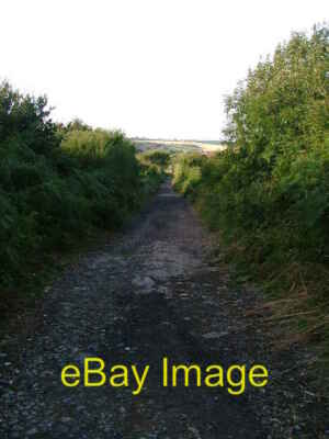 Photo 6x4 Jenny Frisk Road Skelton/NZ6518  c2005