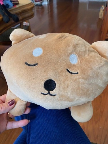 Daiso Plush Brown Cat Pre Owned